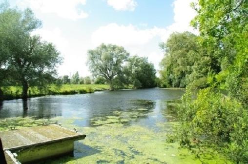 Le De L'heron Moulle